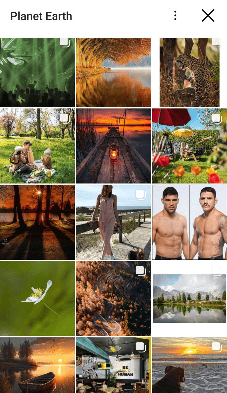 Screenshot of nature pics under the Planet Earth geotag.